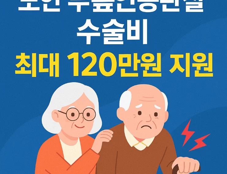 노인 무릎인공관절 수술 지원(보건복지부)｜최대 120만원 수술비 지원받는 법 (2025년…