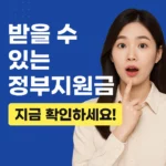 정부24·보조금24로 나와 가족이 받을 수 있는 혜택 한눈에 확인! 신청 방법 완벽 정리